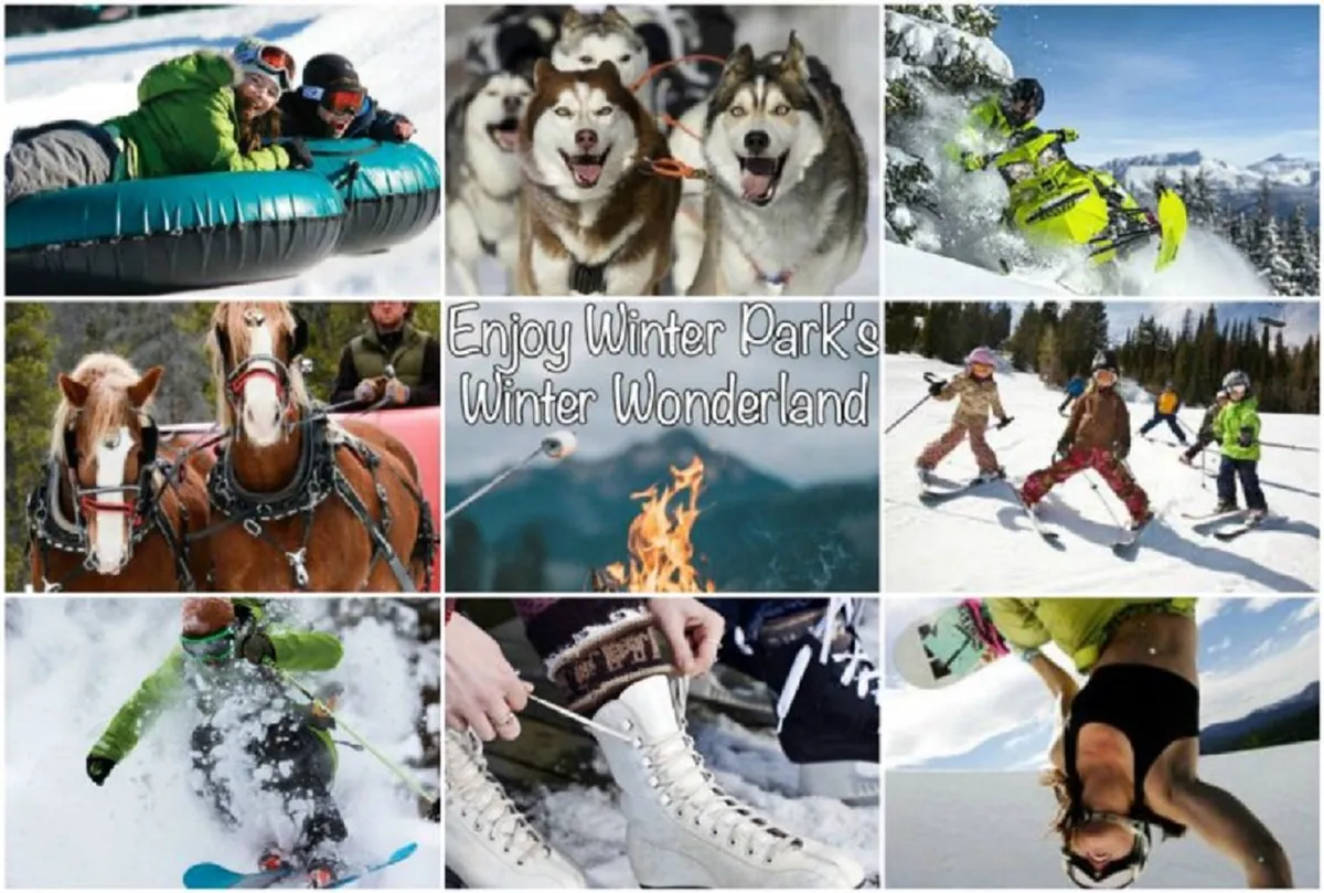 A lively winter scene featuring people tubing down snowy hills, a team of huskies ready for dog sledding, a snowmobile in motion, a horse-drawn sleigh, skiers and snowboarders on the slopes, children playing in the snow, and skates, all set against a snowy landscape. The image radiates energy and excitement, capturing a wide variety of winter adventures.